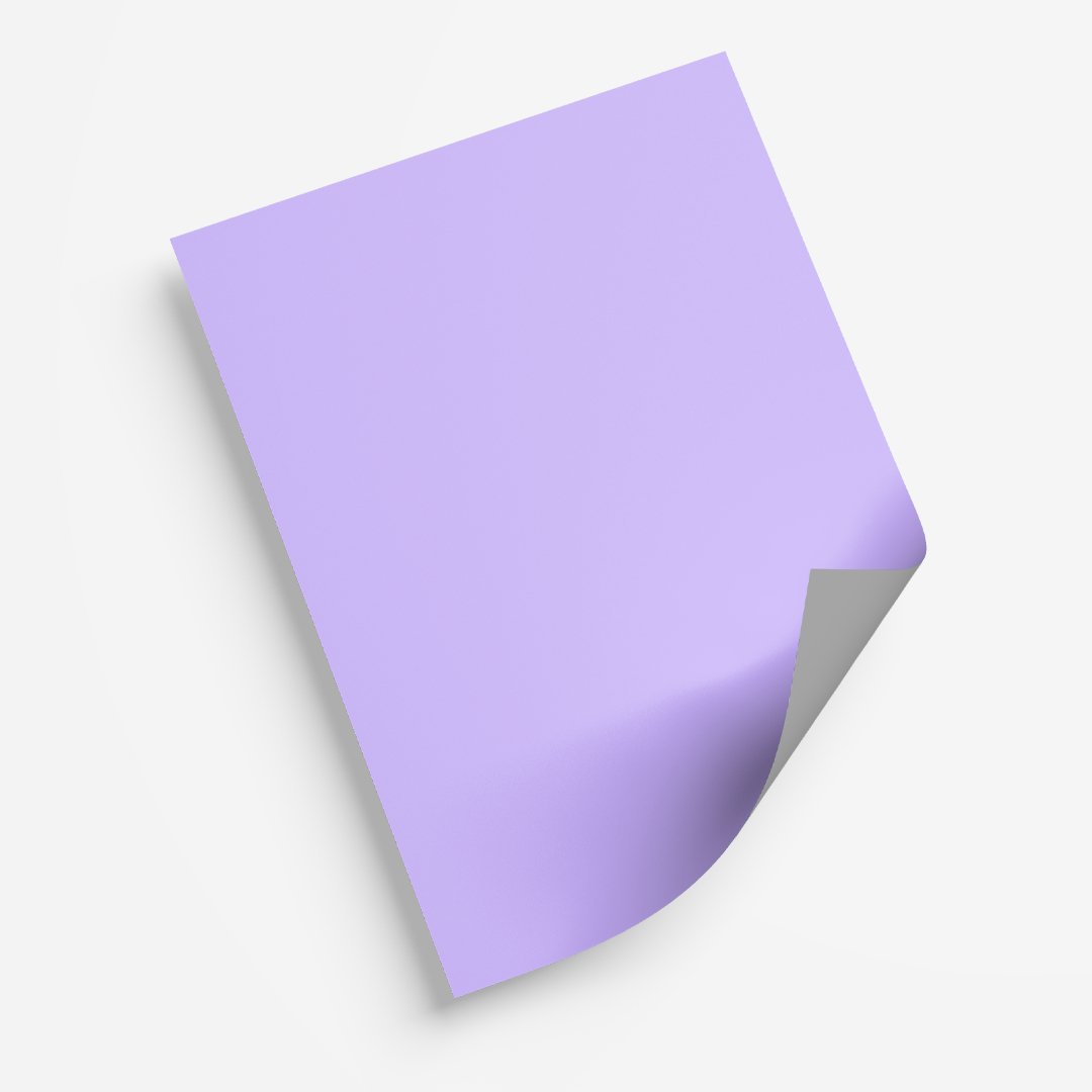 Pastel Purple - My Print Pal