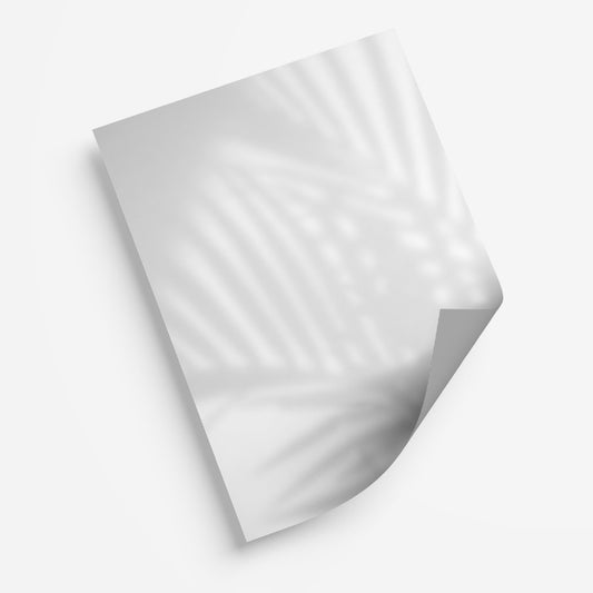 White Palm Leaf Shadow - My Print Pal